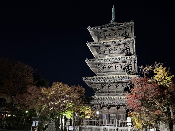 八事山興正寺の紅葉ライトアップ