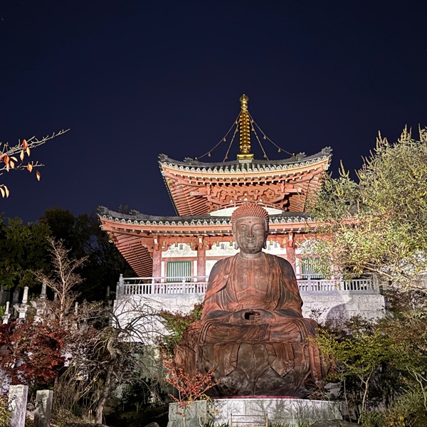 興正寺の紅葉ライトアップ