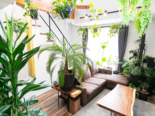 岡崎市で痩せるなら、はなすの耳ツボダイエット