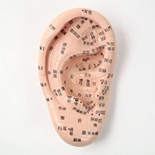 �������Ă�?���Ȃ����Ɏ����Ăق������c�{�_�C�G�b�g