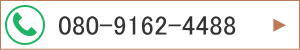 080-9162-4488
