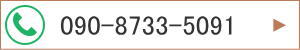 090-8733-5091